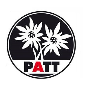 PATT_2013