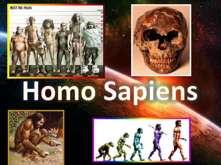 homo-sapiens-presentation-6f-1-728