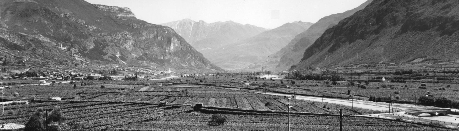Agricoltura - Viticoltura Vigneto 1 ottobre 1955 Vallagarina Archivio storico CCIAA TN © Flli Pedrotti b/n 18x24 RCC
