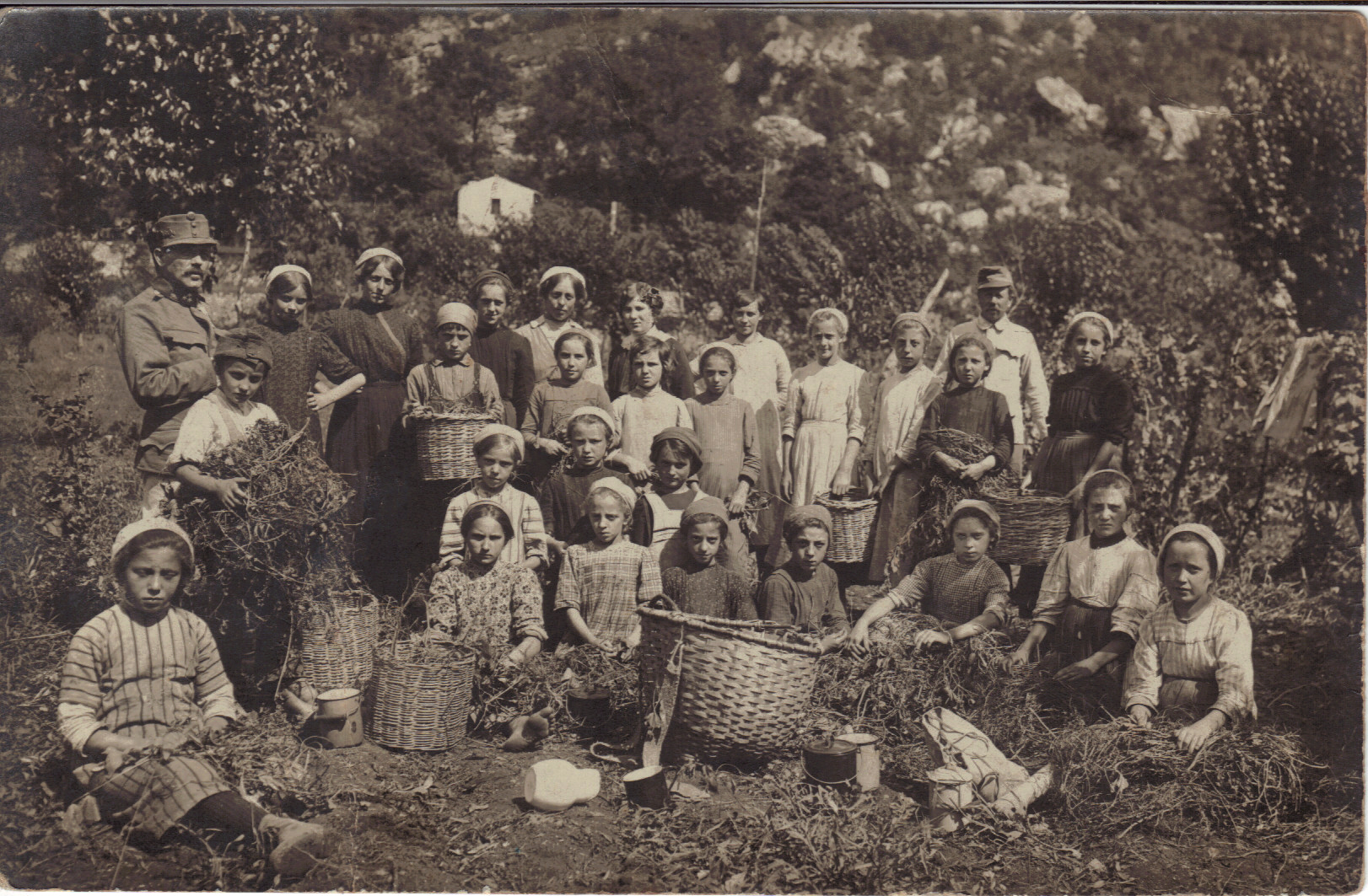 Primavera 1915 – Volano. La raccolta di foglie di rovo per il tè dei soldati al fronte